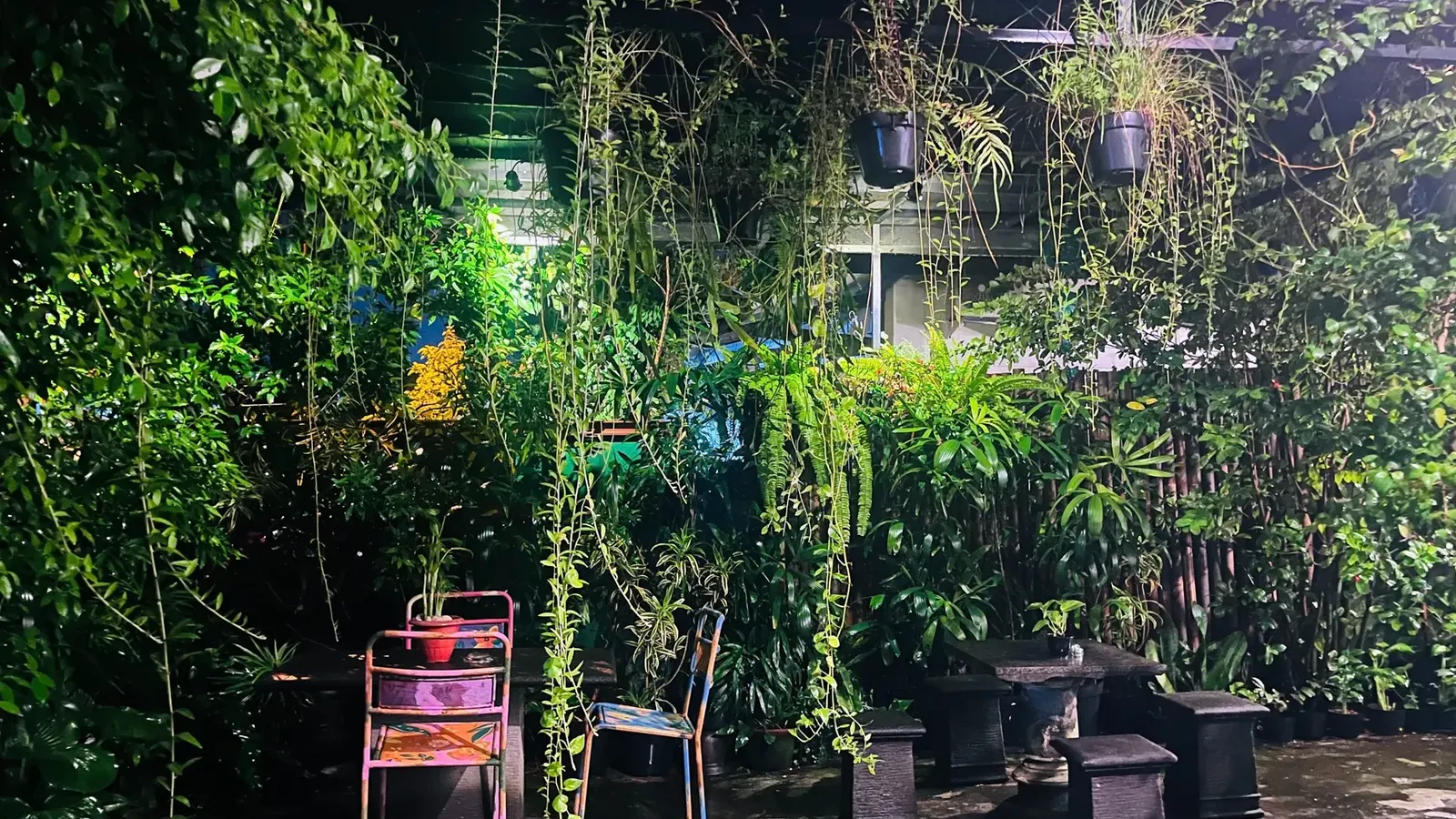 The Best B&Bs and Hostels: From Seoul to Yogyakarta